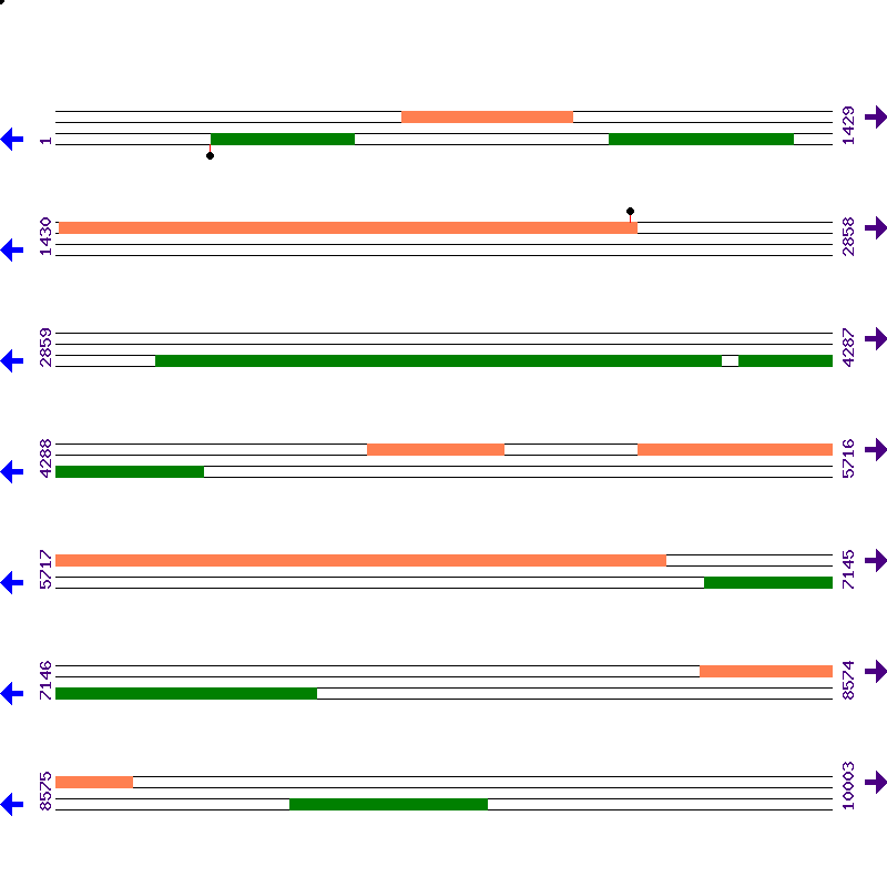 Genome View