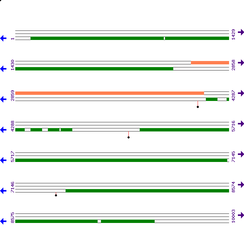 Genome View