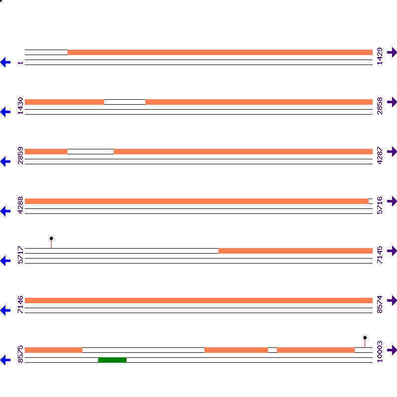 Genome View