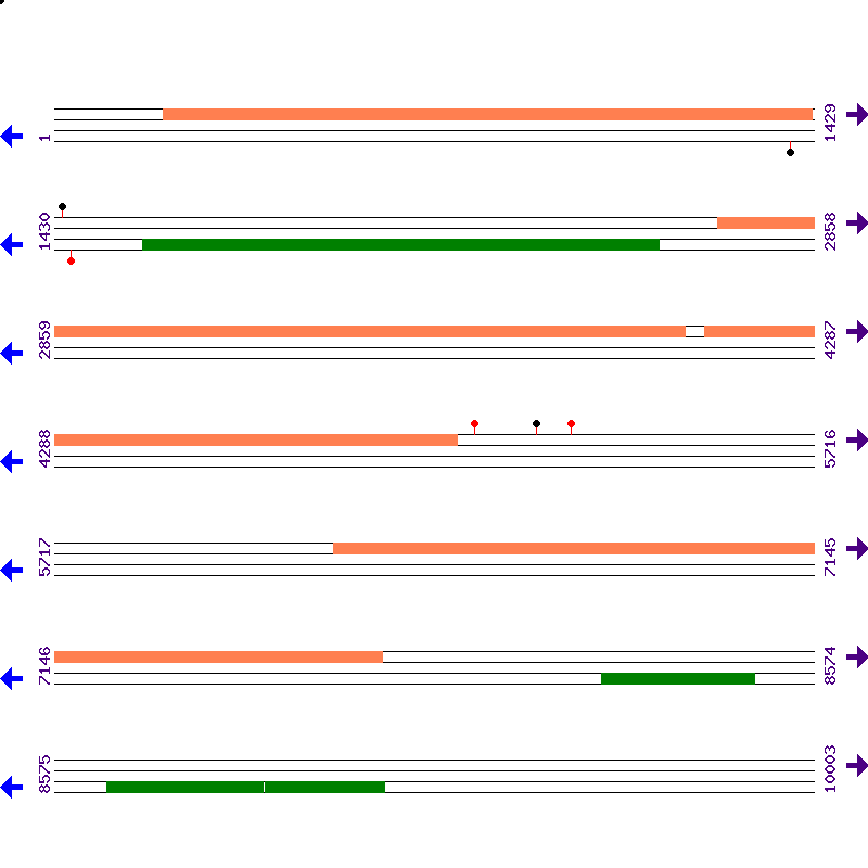 Genome View