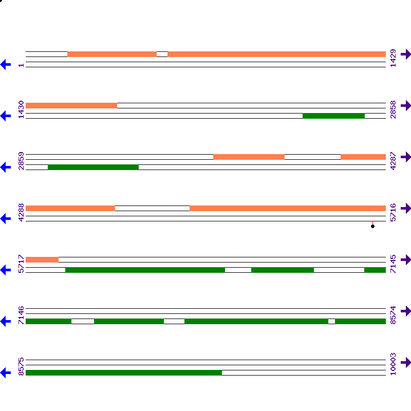 Genome View