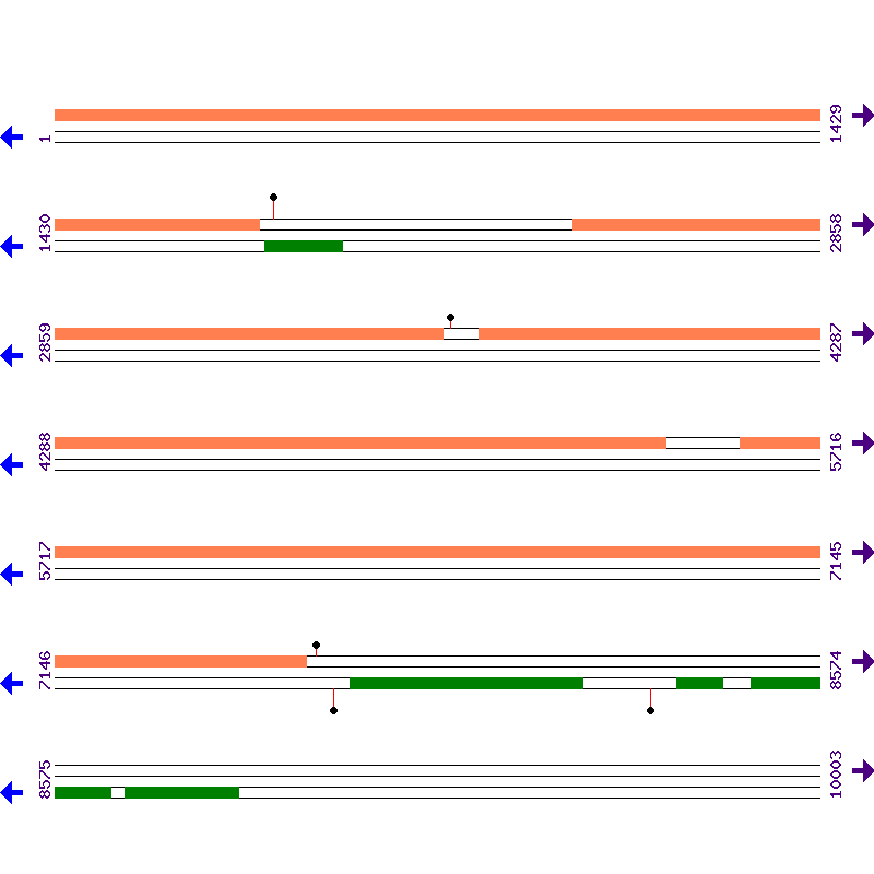 Genome View