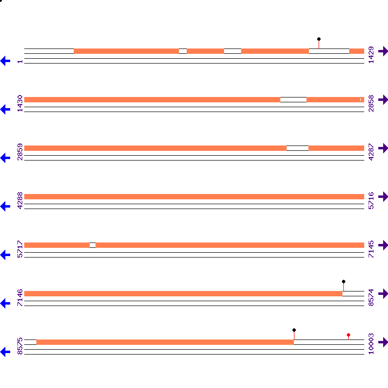 Genome View