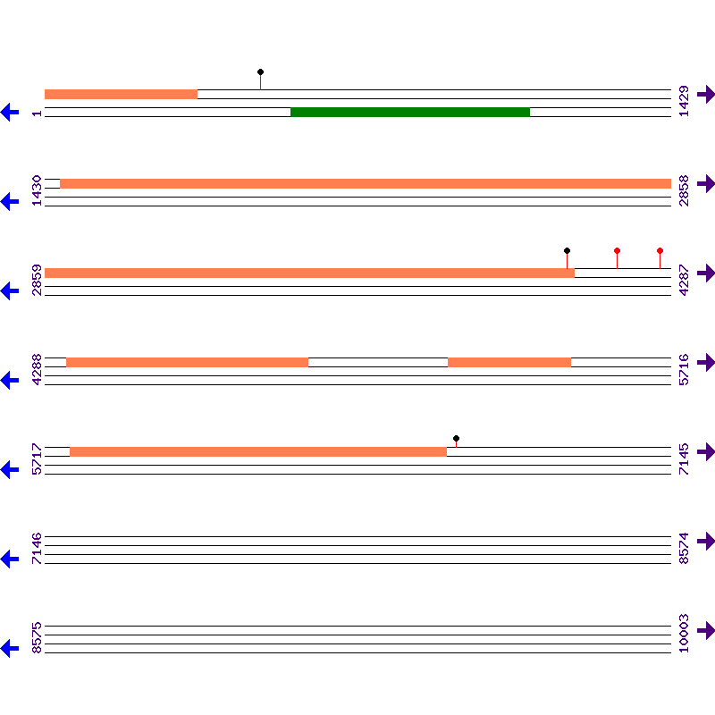 Genome View