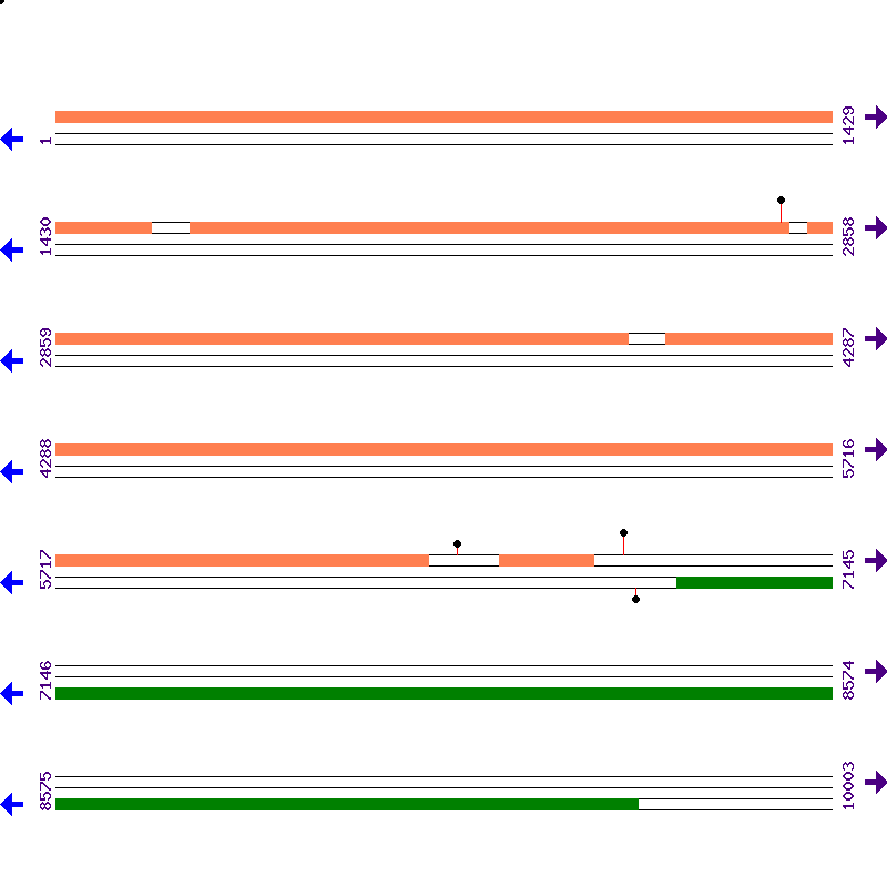 Genome View