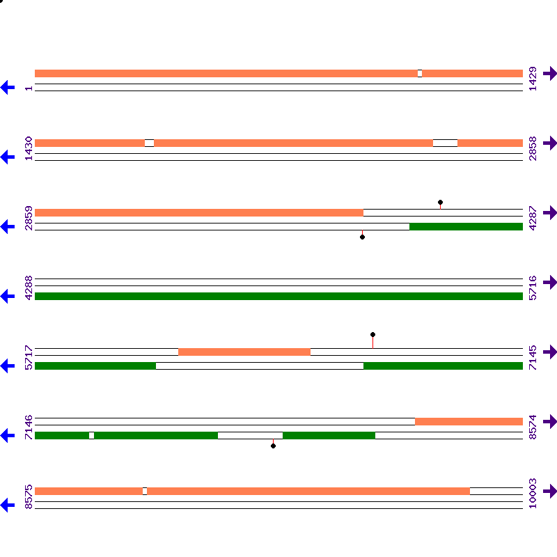 Genome View