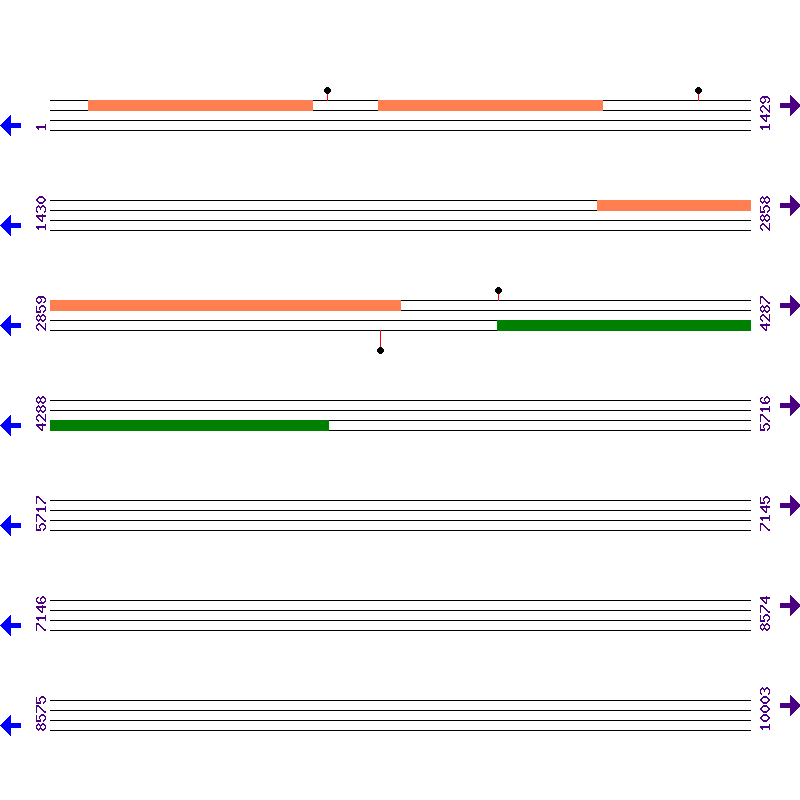 Genome View