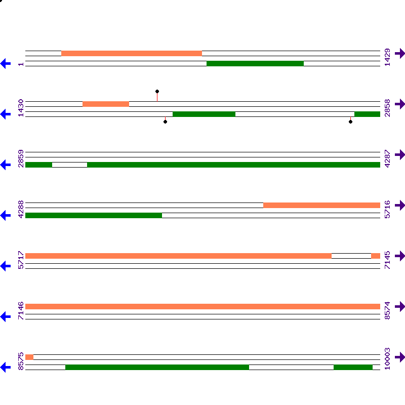 Genome View