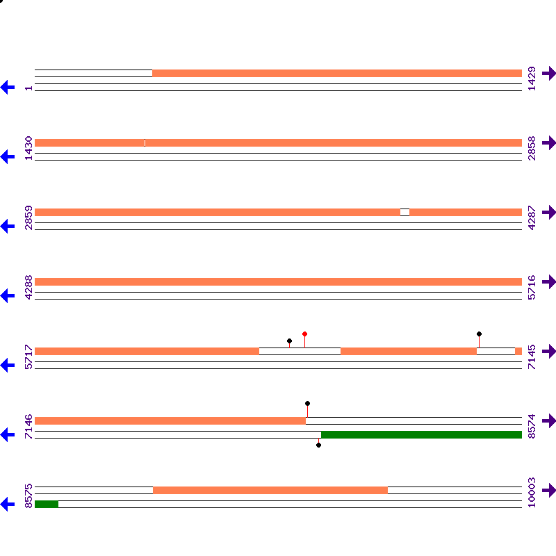 Genome View