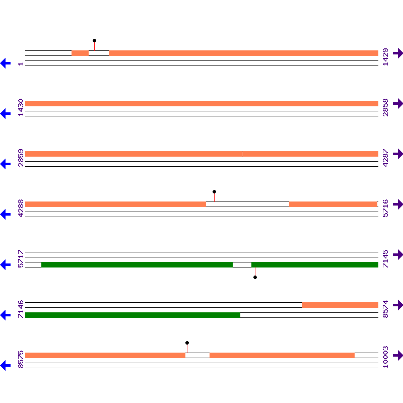 Genome View