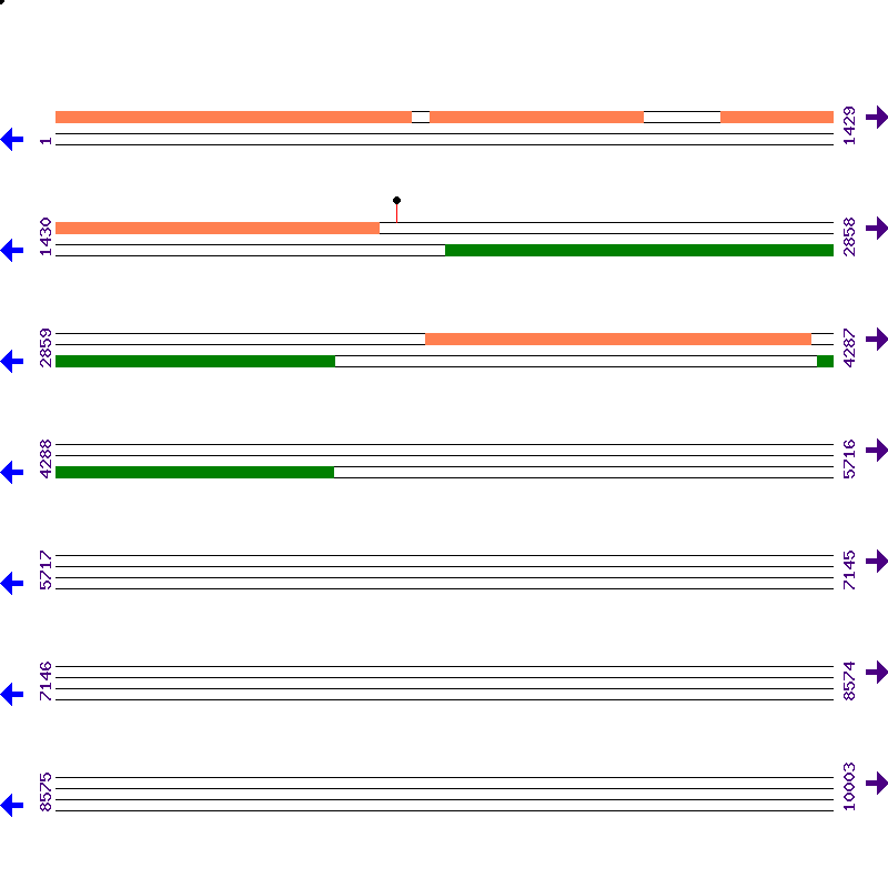 Genome View
