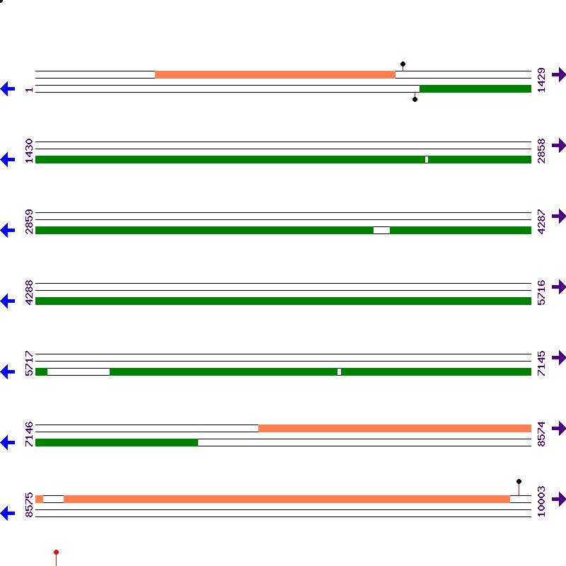 Genome View
