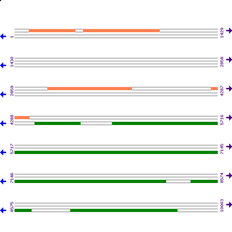 Genome View