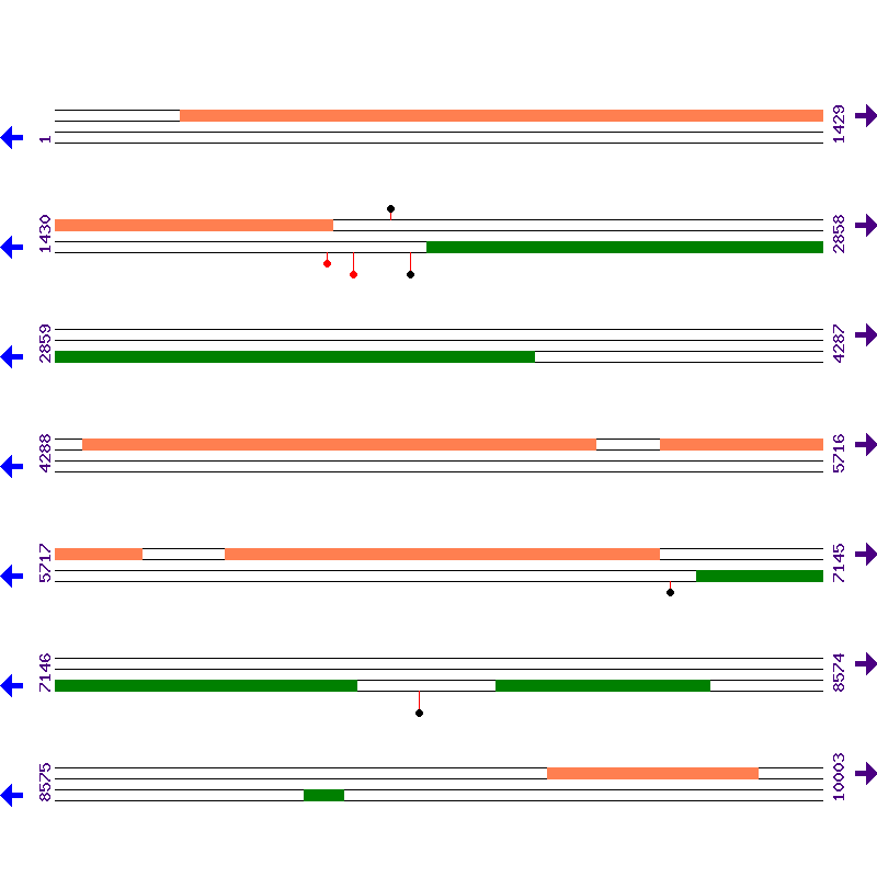 Genome View