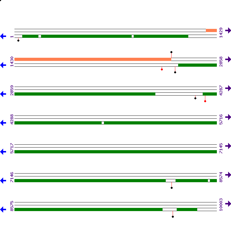 Genome View