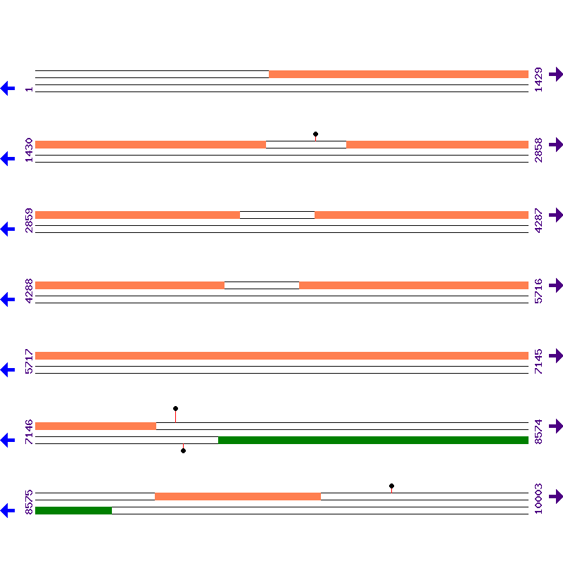 Genome View