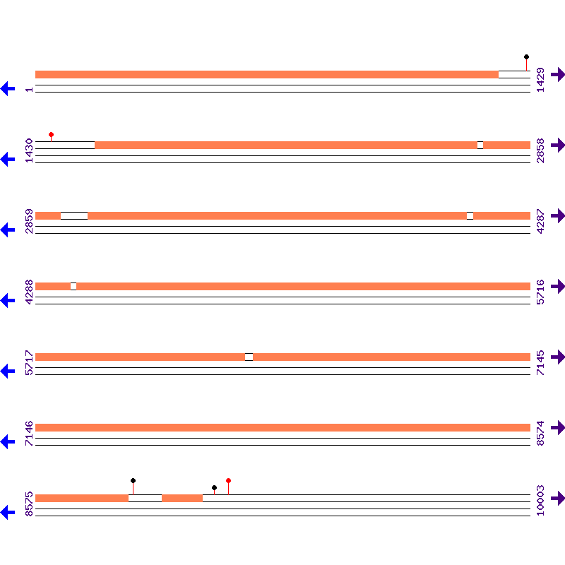 Genome View