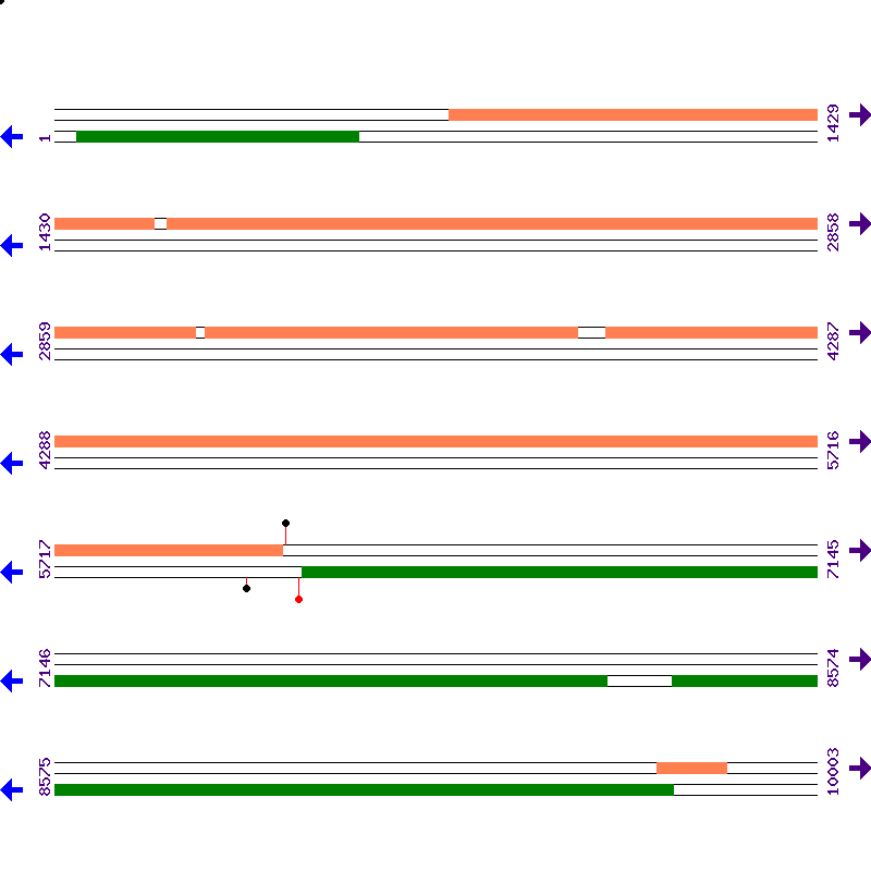 Genome View