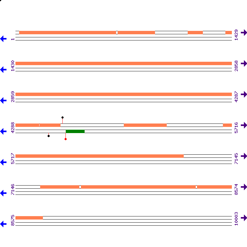 Genome View
