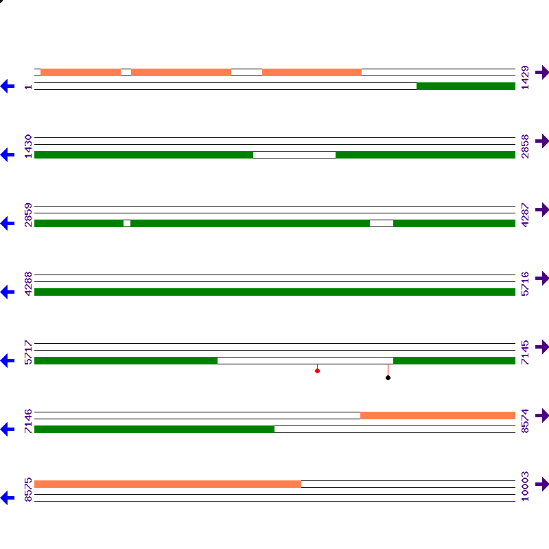 Genome View