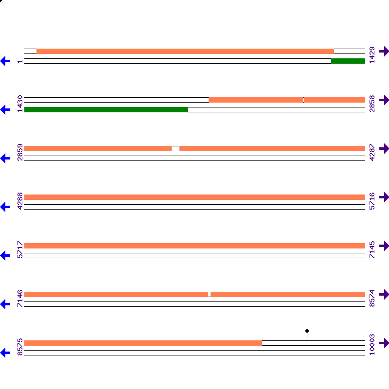 Genome View