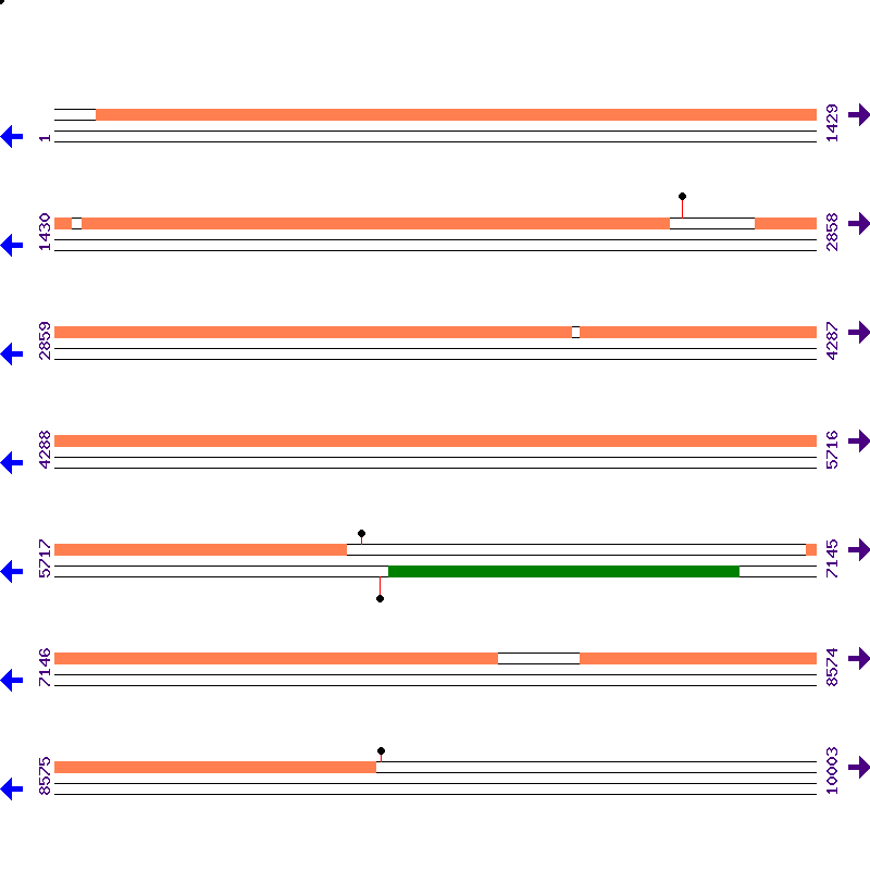 Genome View