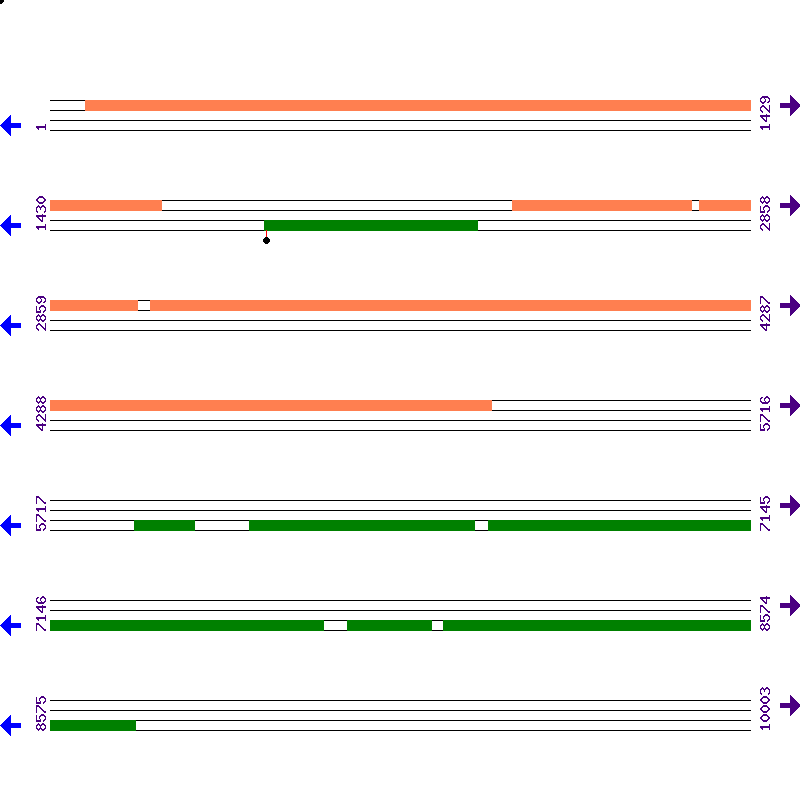 Genome View