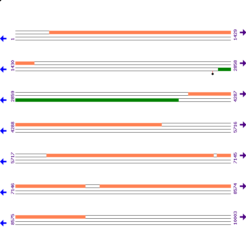 Genome View
