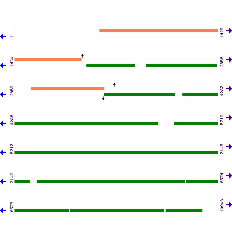 Genome View