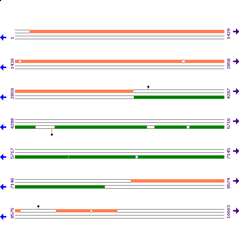 Genome View