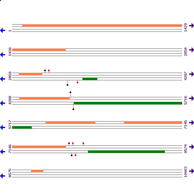 Genome View