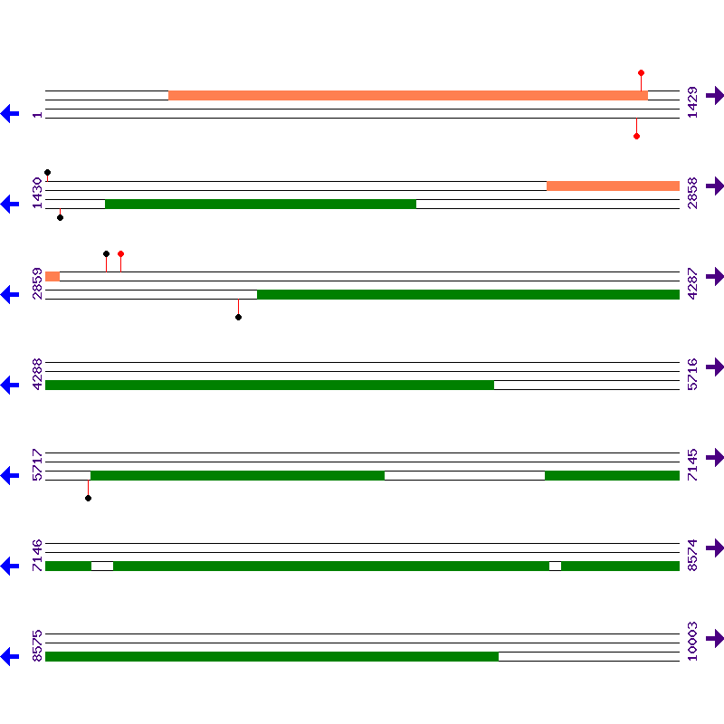 Genome View