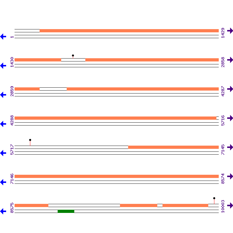 Genome View