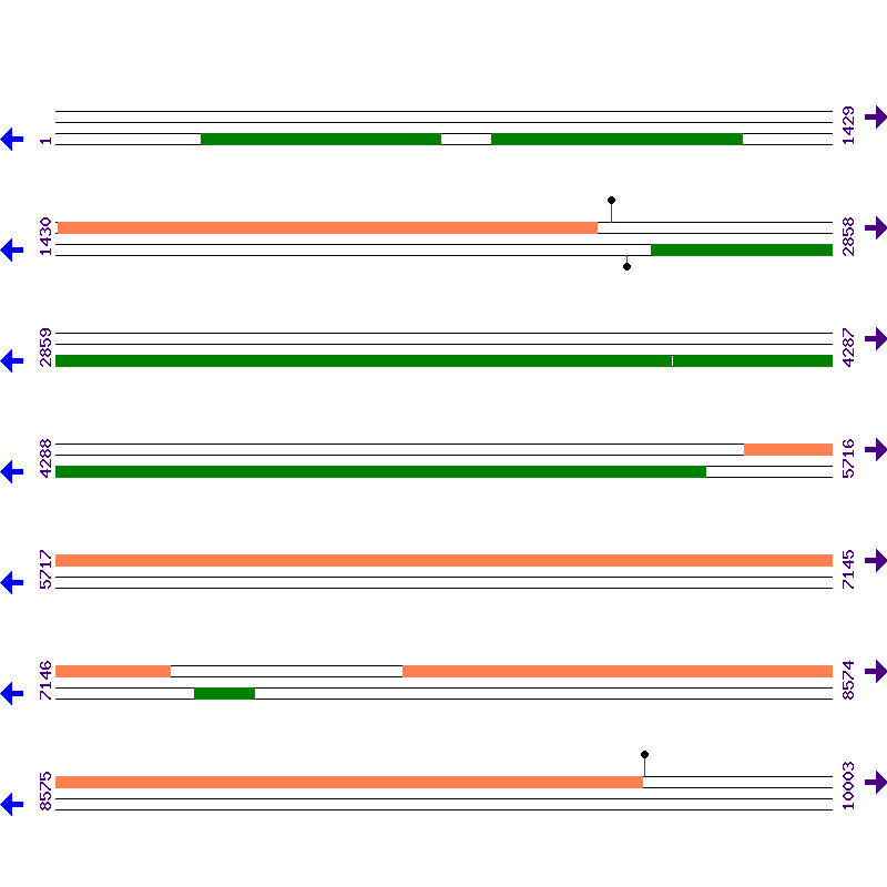 Genome View