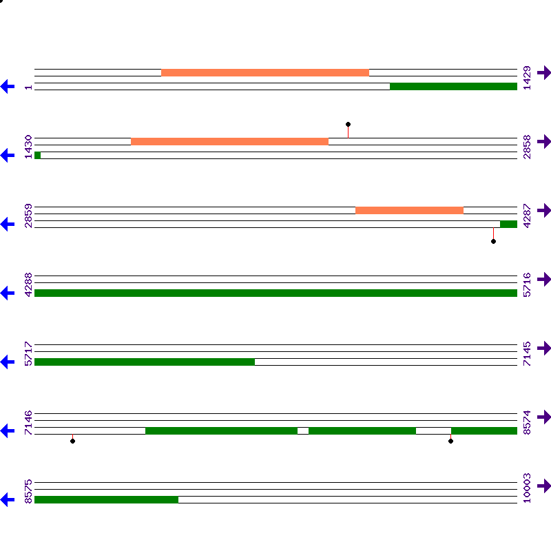 Genome View