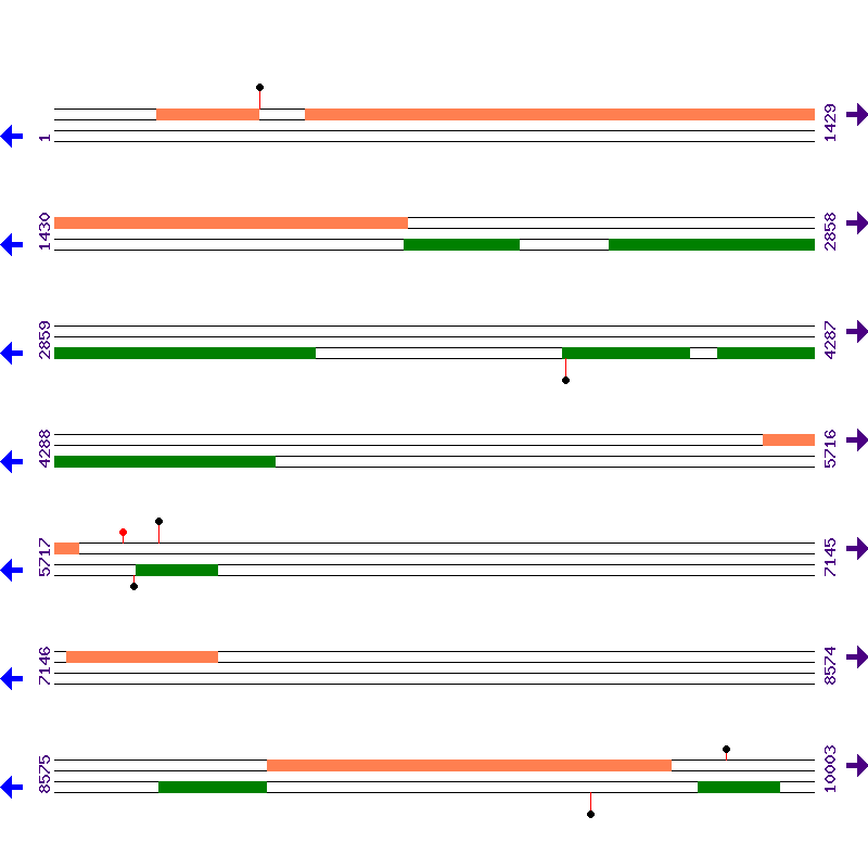 Genome View