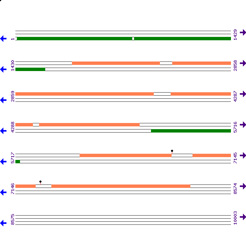 Genome View