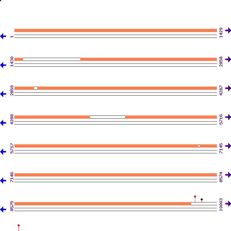 Genome View