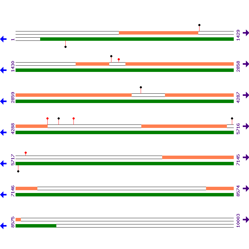 Genome View