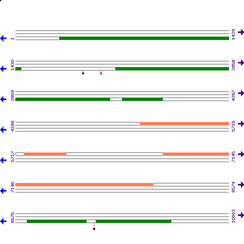 Genome View