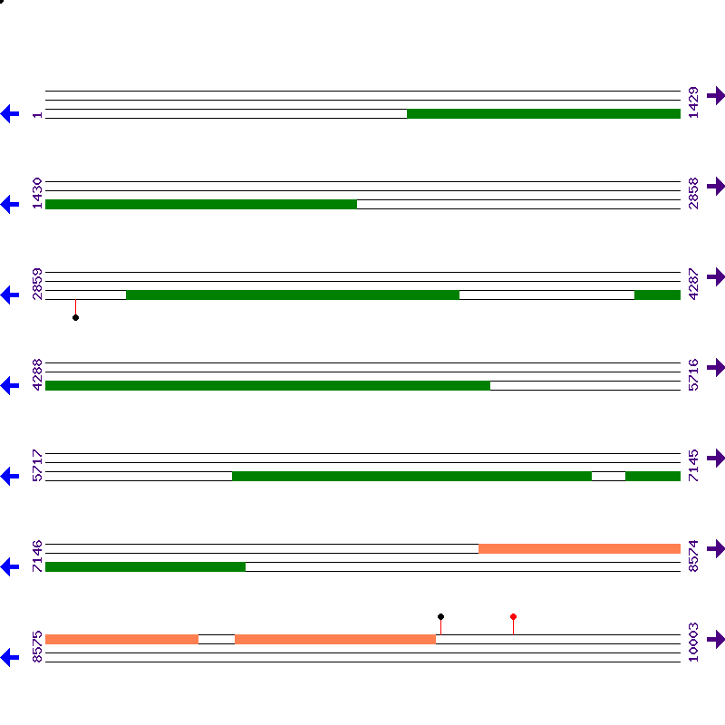 Genome View