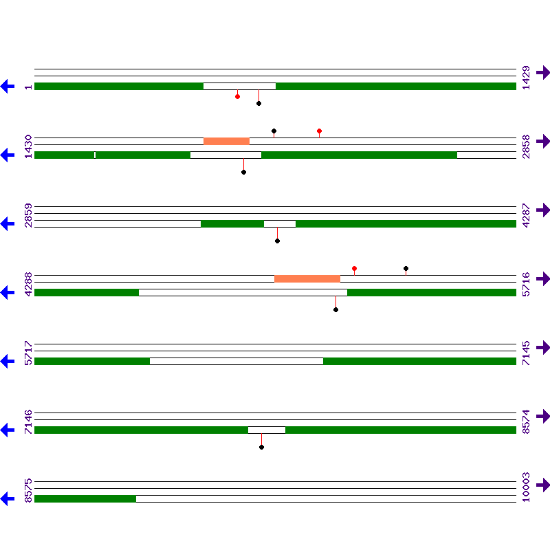 Genome View