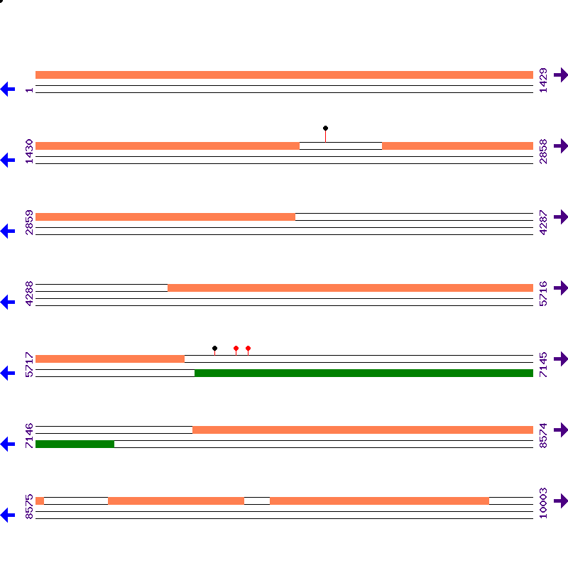 Genome View