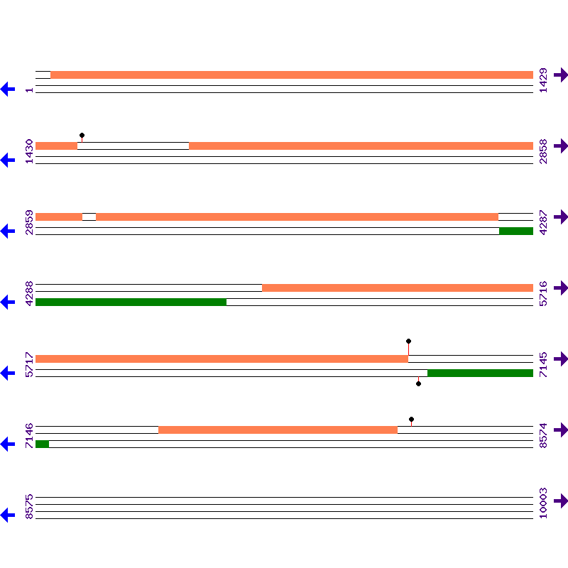 Genome View