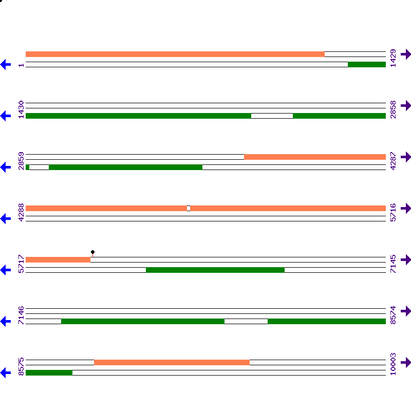Genome View