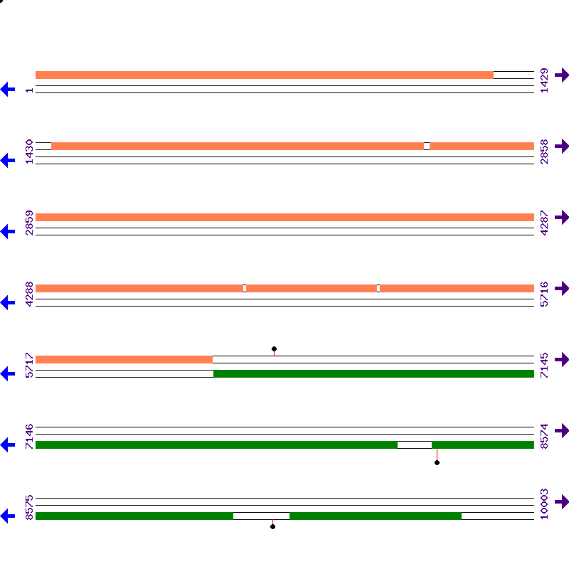 Genome View