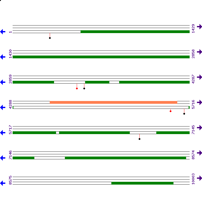 Genome View