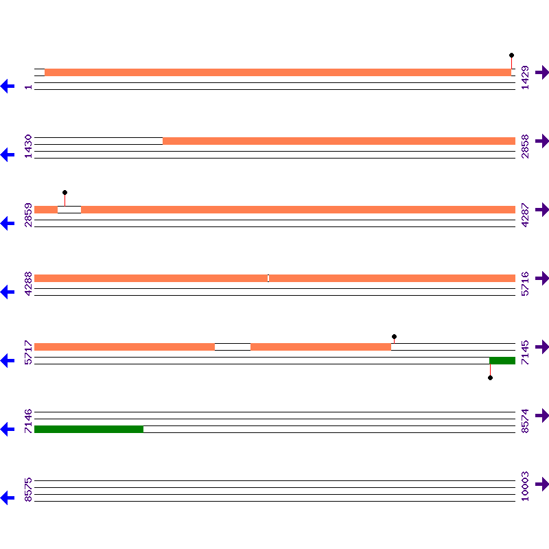 Genome View