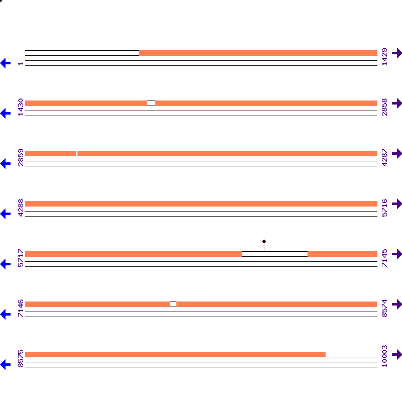 Genome View