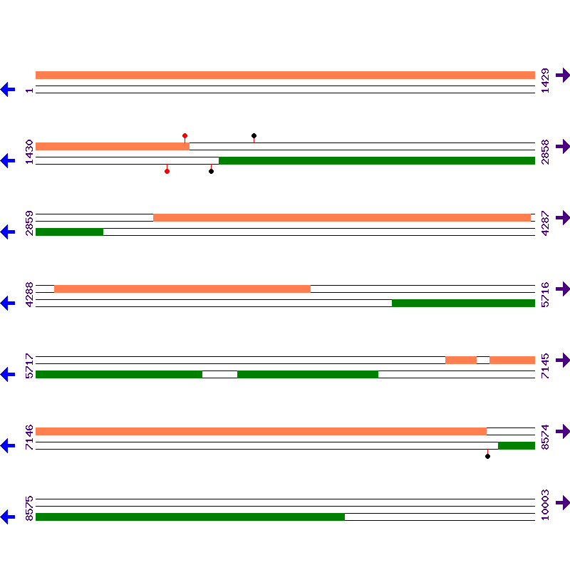 Genome View